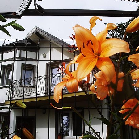 Villa Hasaba Krościenko Exteriér fotografie