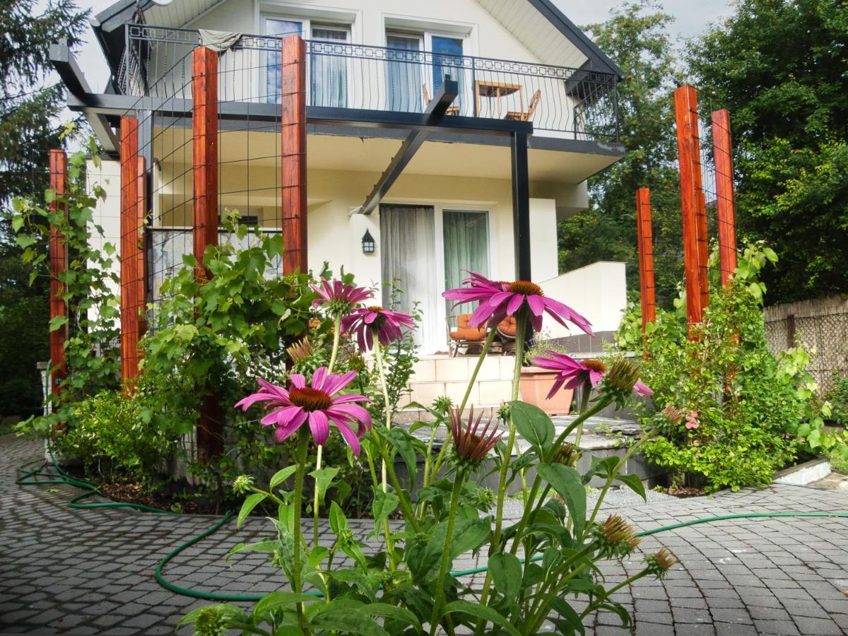 Villa Hasaba Krościenko Exteriér fotografie