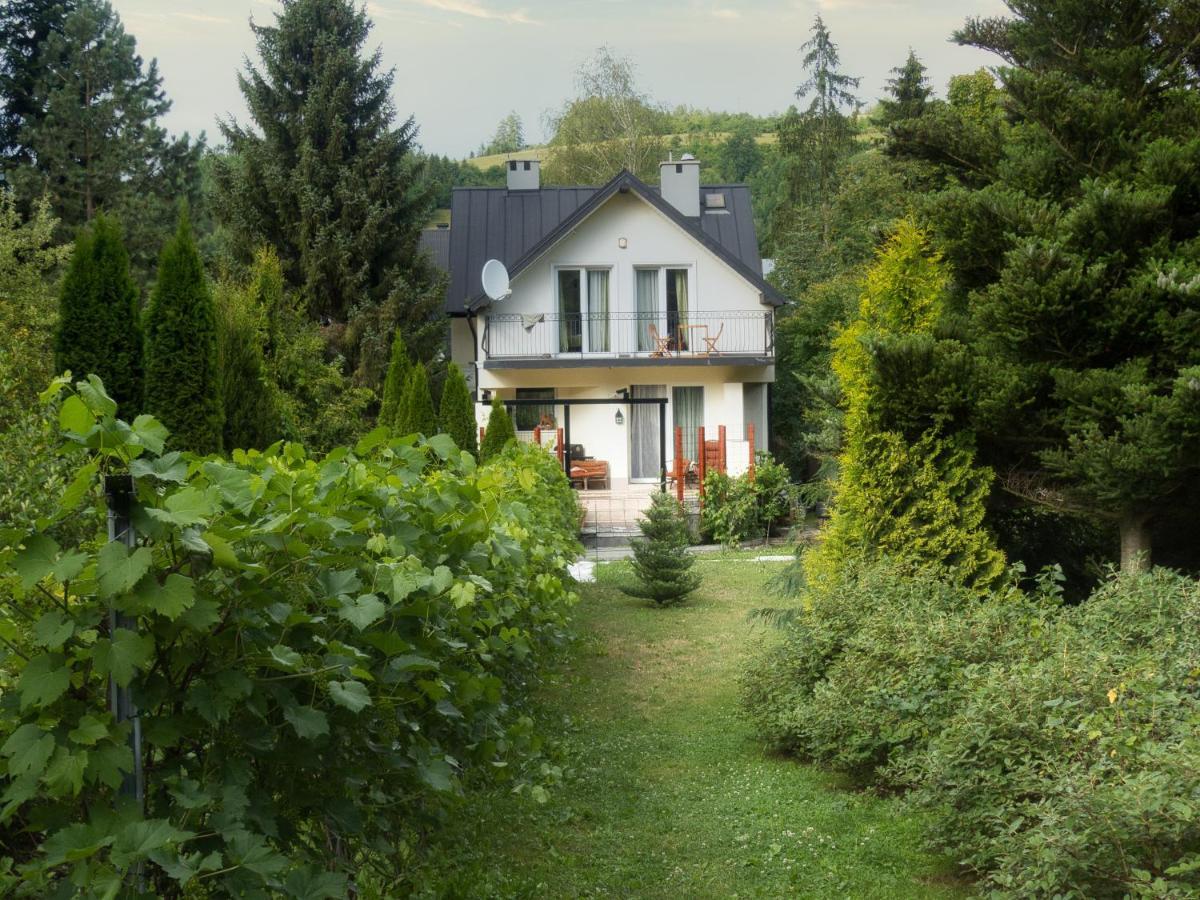 Villa Hasaba Krościenko Exteriér fotografie