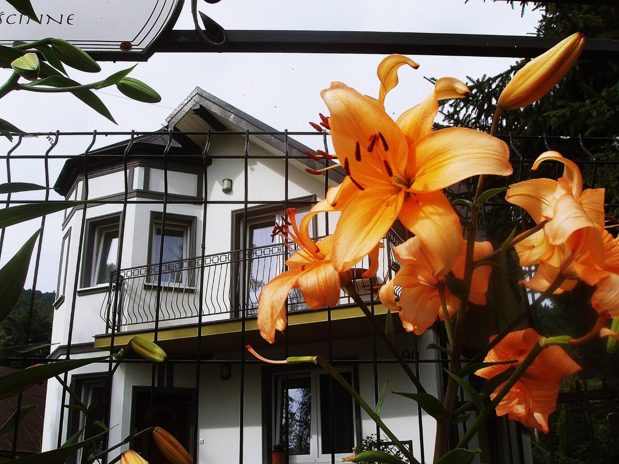 Villa Hasaba Krościenko Exteriér fotografie