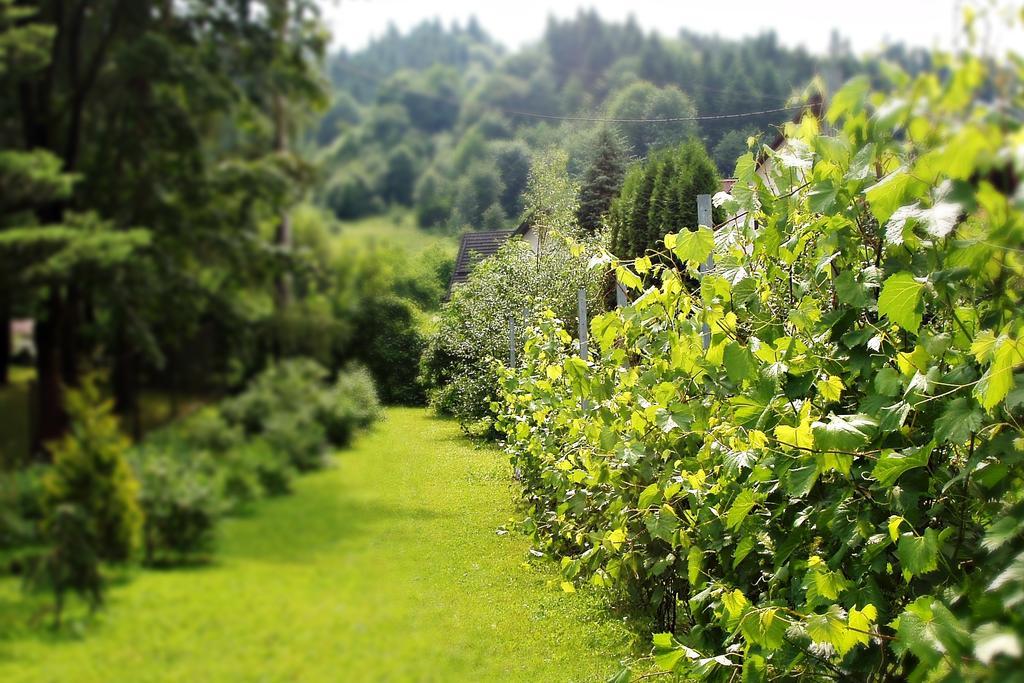 Villa Hasaba Krościenko Exteriér fotografie
